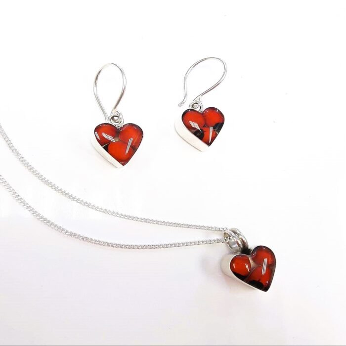 COLECCIÓN CORAZÓN DE HUAYRURO - Imagen 1
