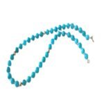 COLECCIÓN TURQUESA - Imagen 2